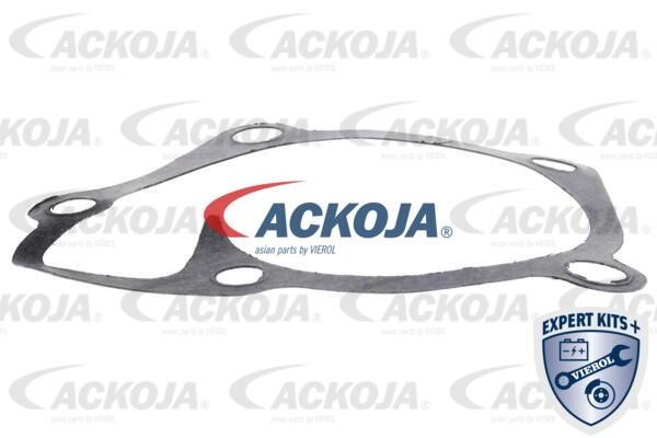 Buy Ackoja A53-50003 at a low price in United Arab Emirates!