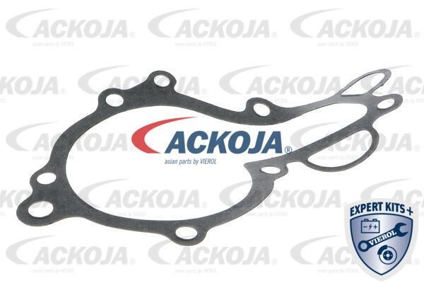 Buy Ackoja A64-50005 at a low price in United Arab Emirates!