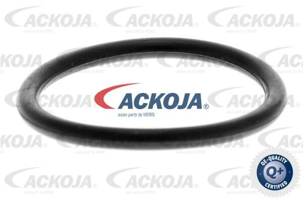 Fuel filter Ackoja A70-0300