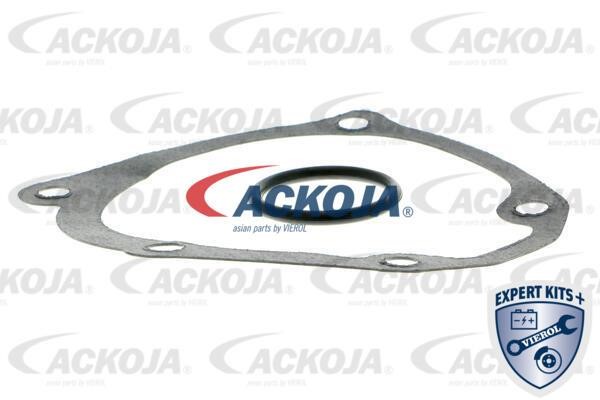 Buy Ackoja A37-50004 at a low price in United Arab Emirates!