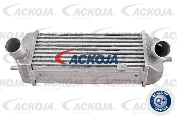 Ackoja A52-60-0009 Intercooler, charger A52600009