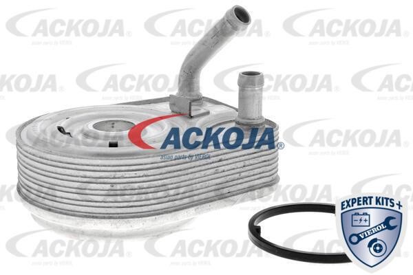 Ackoja A52-60-0008 Oil Cooler, engine oil A52600008