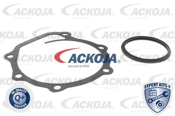 Buy Ackoja A63-50001 at a low price in United Arab Emirates!