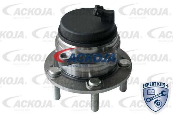 Ackoja A52-0251 Wheel bearing A520251
