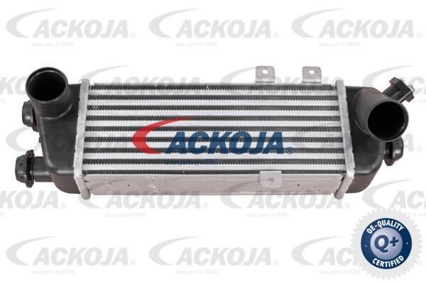 Ackoja A53-60-0006 Intercooler, charger A53600006