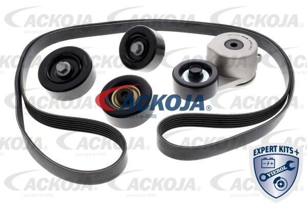 Ackoja A52-0211 Drive belt kit A520211