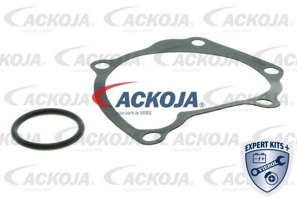 Buy Ackoja A52-50004 at a low price in United Arab Emirates!