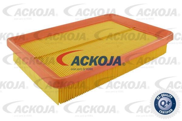 Ackoja A52-0411 Air filter A520411