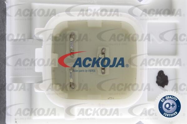 Buy Ackoja A53-08-0001 at a low price in United Arab Emirates!