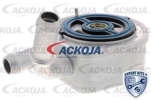 Ackoja A32-60-0002 Oil Cooler, engine oil A32600002