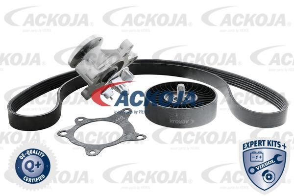 Ackoja A52-0207 Drive belt kit A520207