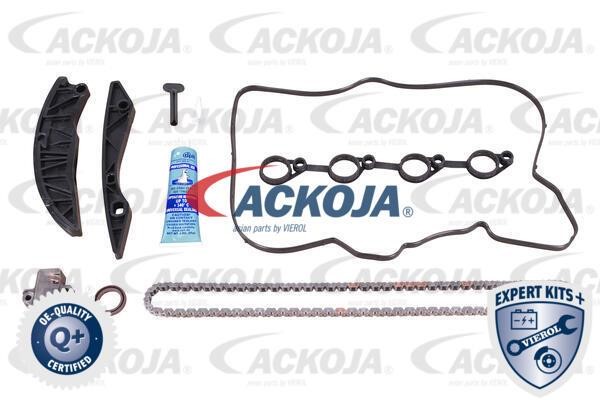 Ackoja A52-10001 Timing chain kit A5210001
