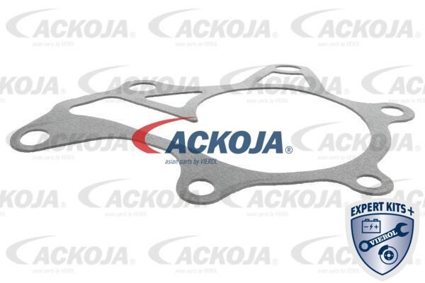 Buy Ackoja A70-50024 at a low price in United Arab Emirates!