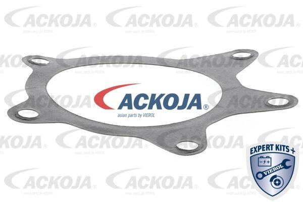 Buy Ackoja A70-50017 at a low price in United Arab Emirates!