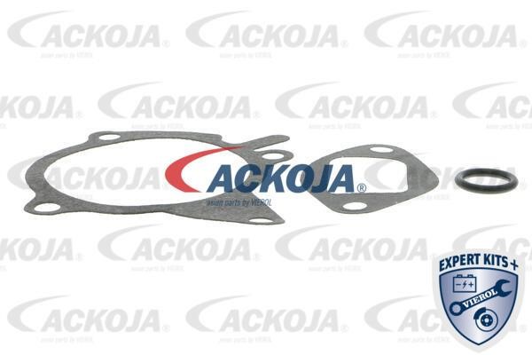 Buy Ackoja A32-50013 at a low price in United Arab Emirates!