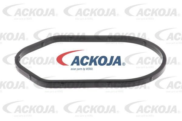 Buy Ackoja A53-0197 at a low price in United Arab Emirates!