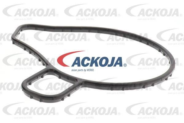 Buy Ackoja A70-50033 at a low price in United Arab Emirates!