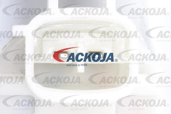 Buy Ackoja A37-08-0001 at a low price in United Arab Emirates!