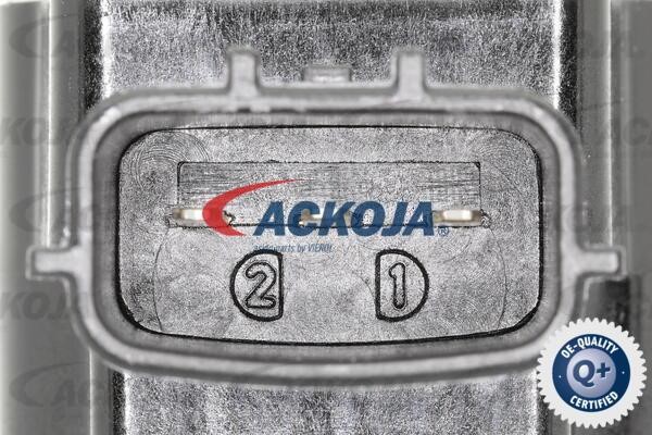 Buy Ackoja A38-70-0007 at a low price in United Arab Emirates!