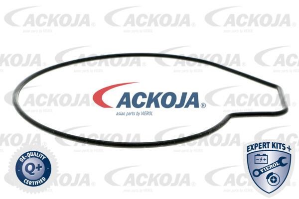 Buy Ackoja A37-50002 at a low price in United Arab Emirates!