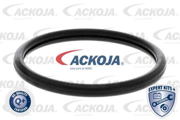 Buy Ackoja A52-99-0015 at a low price in United Arab Emirates!