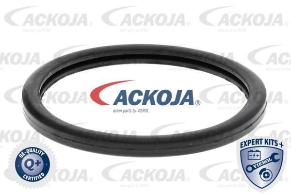 Buy Ackoja A37-99-0006 at a low price in United Arab Emirates!