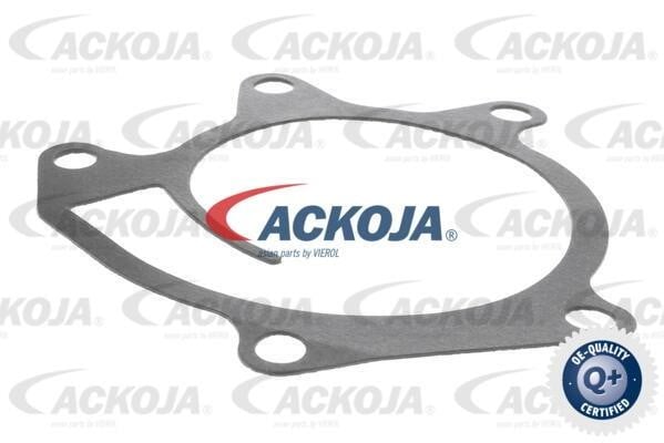 Buy Ackoja A38-0701 at a low price in United Arab Emirates!