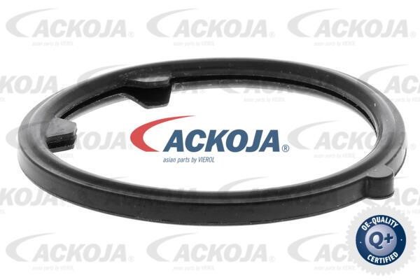 Buy Ackoja A38-99-0005 at a low price in United Arab Emirates!