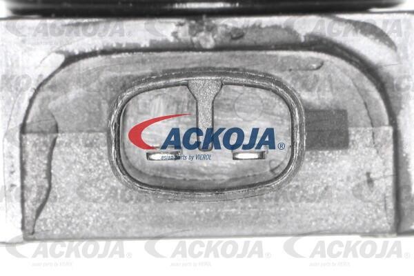 Buy Ackoja A53-70-0007 at a low price in United Arab Emirates!