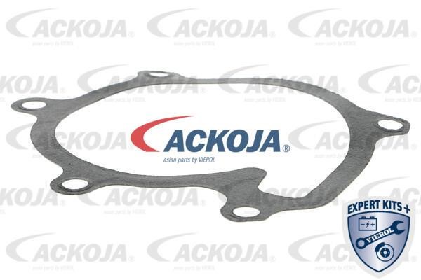Buy Ackoja A70-50019 at a low price in United Arab Emirates!