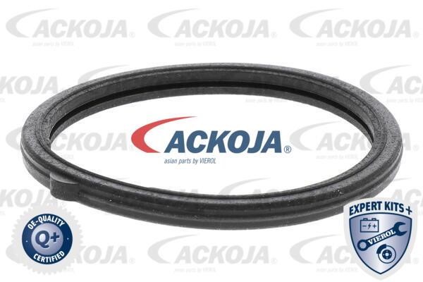 Buy Ackoja A32-99-1705 at a low price in United Arab Emirates!