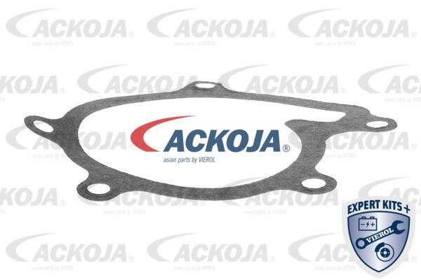 Buy Ackoja A70-50002 at a low price in United Arab Emirates!