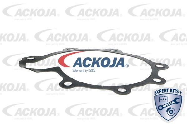Buy Ackoja A32-50006 at a low price in United Arab Emirates!