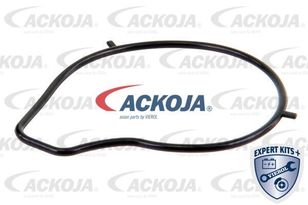 Buy Ackoja A32-50011 at a low price in United Arab Emirates!