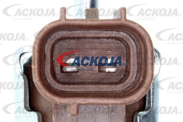 Buy Ackoja A37-63-0003 at a low price in United Arab Emirates!