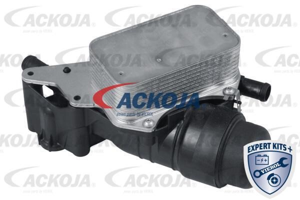 Ackoja A38-60-0016 Oil Cooler, engine oil A38600016