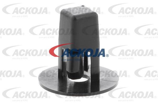 A700219 Ackoja Nut