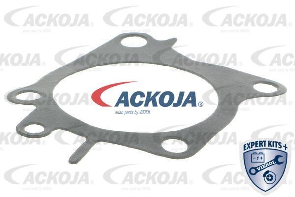 Buy Ackoja A37-50006 at a low price in United Arab Emirates!