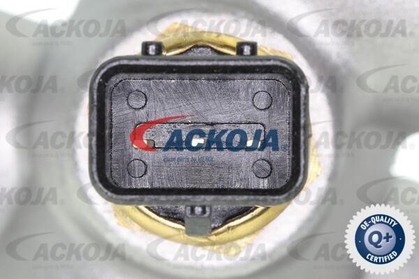 Buy Ackoja A52-0751 at a low price in United Arab Emirates!