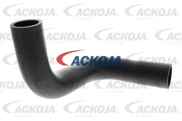 Ackoja A64-1607 Radiator hose A641607