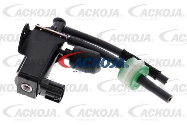 Ackoja A70-63-0011 Turbine control valve A70630011