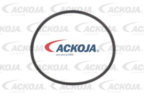Buy Ackoja A38-60-0012 at a low price in United Arab Emirates!