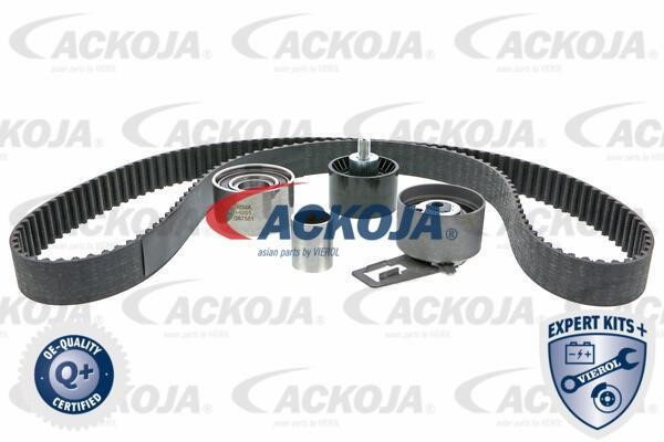 Ackoja A53-0201 Timing Belt Kit A530201