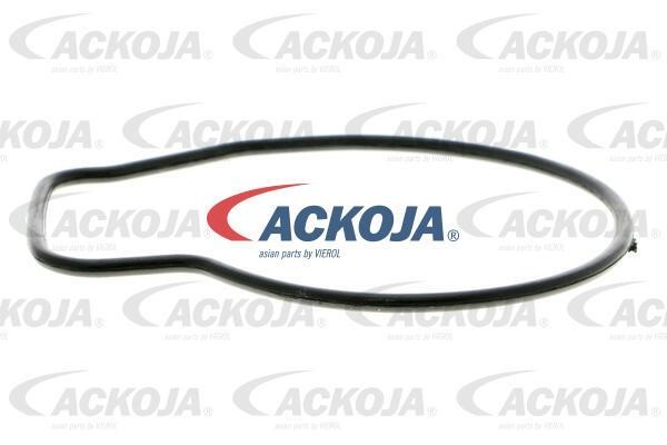 Buy Ackoja A26-50007 at a low price in United Arab Emirates!