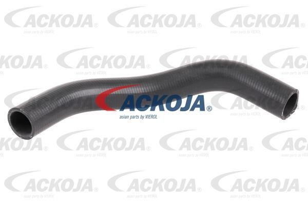 Ackoja A64-1610 Radiator hose A641610