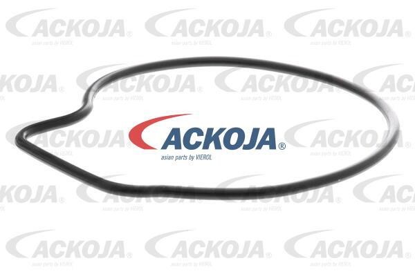 Buy Ackoja A26-50001 at a low price in United Arab Emirates!
