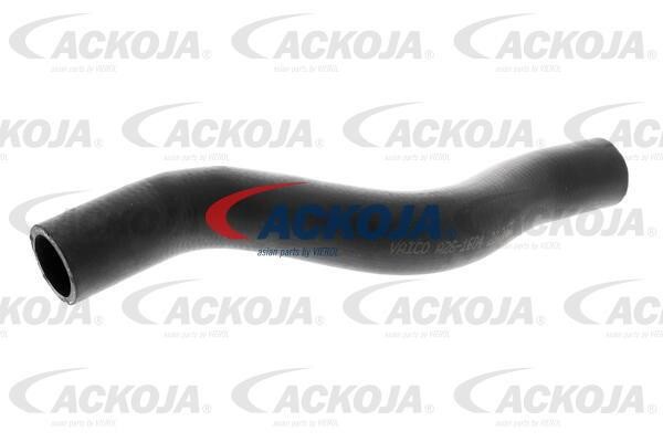 Ackoja A26-1604 Radiator hose A261604