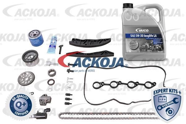 Ackoja A52-10001-XXL Timing chain kit A5210001XXL