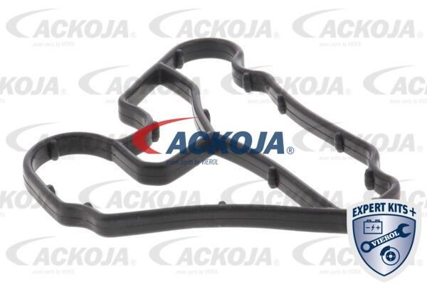 Buy Ackoja A52-60-0011 at a low price in United Arab Emirates!