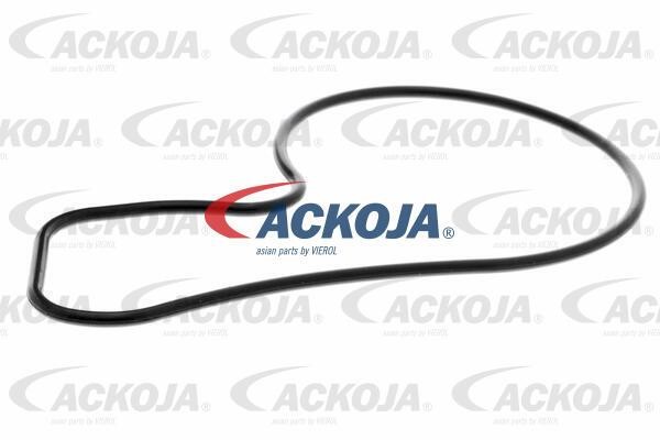 Buy Ackoja A26-50020 at a low price in United Arab Emirates!